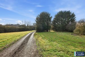 THE HAWK- click for photo gallery